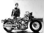 knuckle head harley